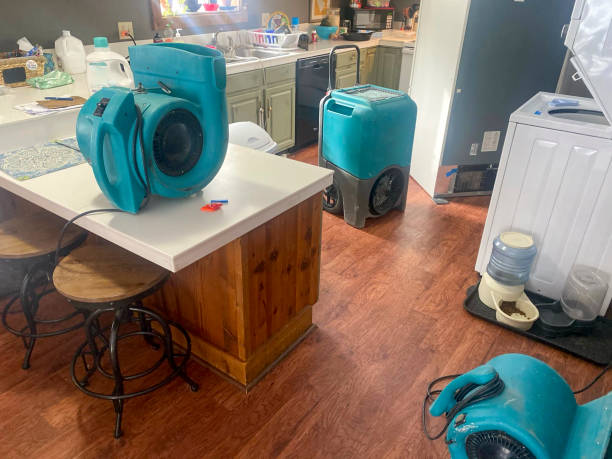 Best Basement water damage restoration  in Lawrenceville, GA