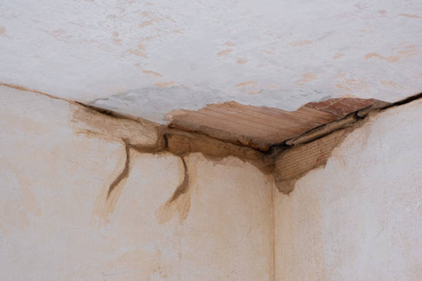 Best Local water damage restoration  in Lawrenceville, GA