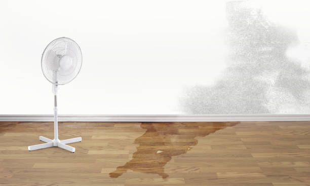 Best Flooded house restoration  in Lawrenceville, GA