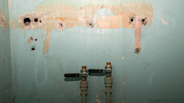 Best Water damage cleanup near me  in Lawrenceville, GA