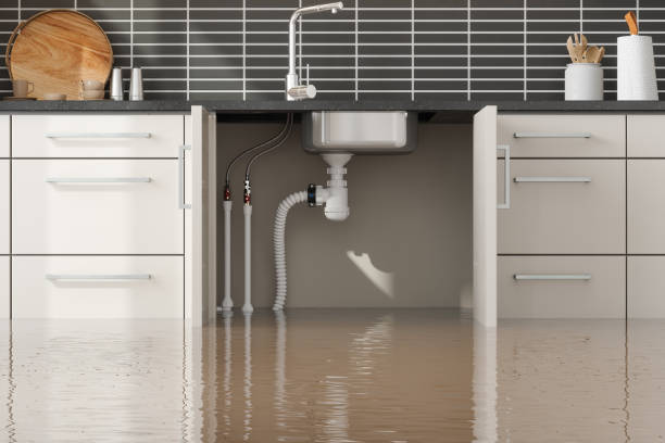 Best Water damage restoration process  in Lawrenceville, GA