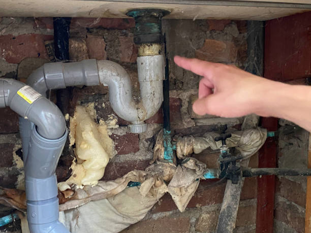 Best Ceiling water damage repair  in Lawrenceville, GA