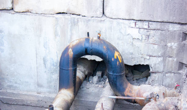 Best Mold removal after water damage  in Lawrenceville, GA