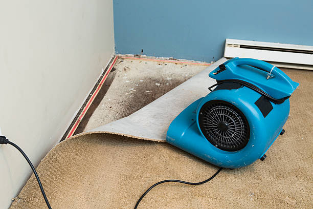 Best Water damage restoration near me  in Lawrenceville, GA